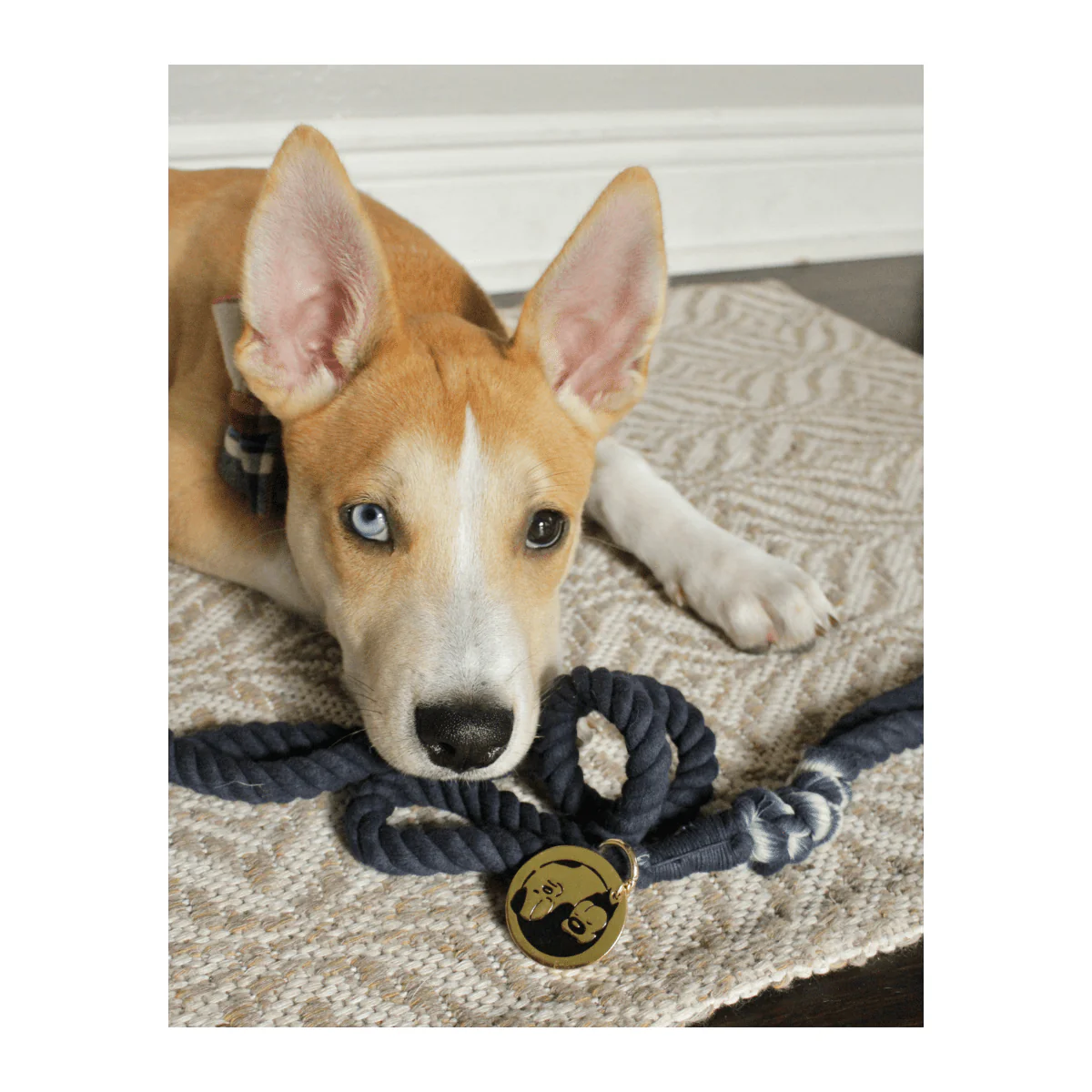 Hand Dyed Rope Leash - Image 3